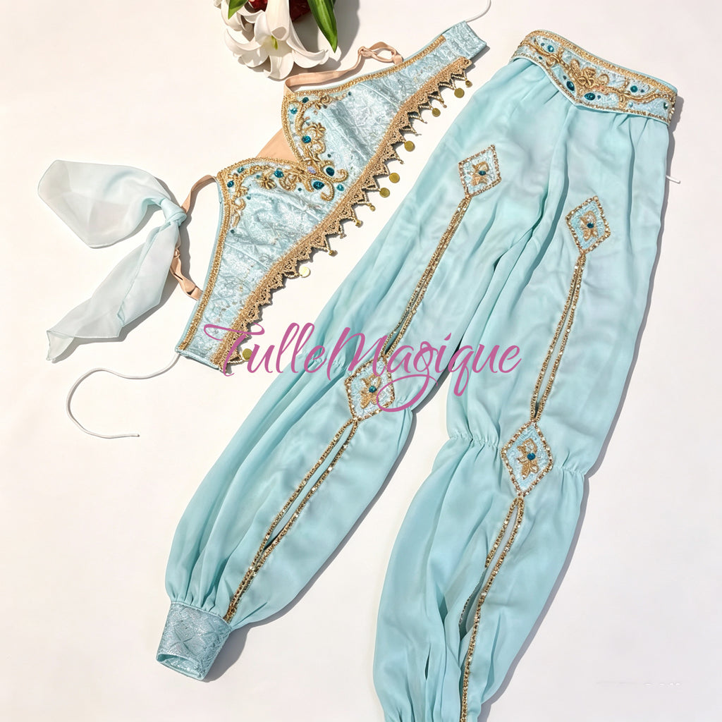 The Indian Arabian Style Crop Top & Harem Pants Ballet Costume can be used for Le Corsaire or La Bayadère variation. 