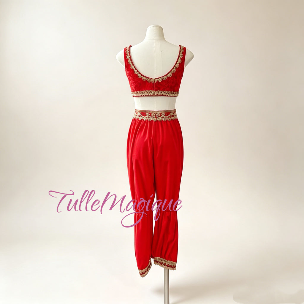 Red crop top and pants ballet costume for la bayadere
