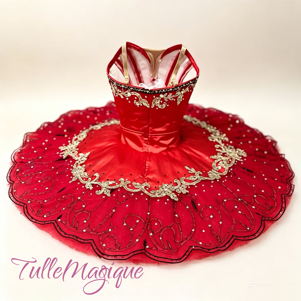 Back view of professional classical ballet tutu showing intricate gold embroidery for La Esmeralda and Paquita.