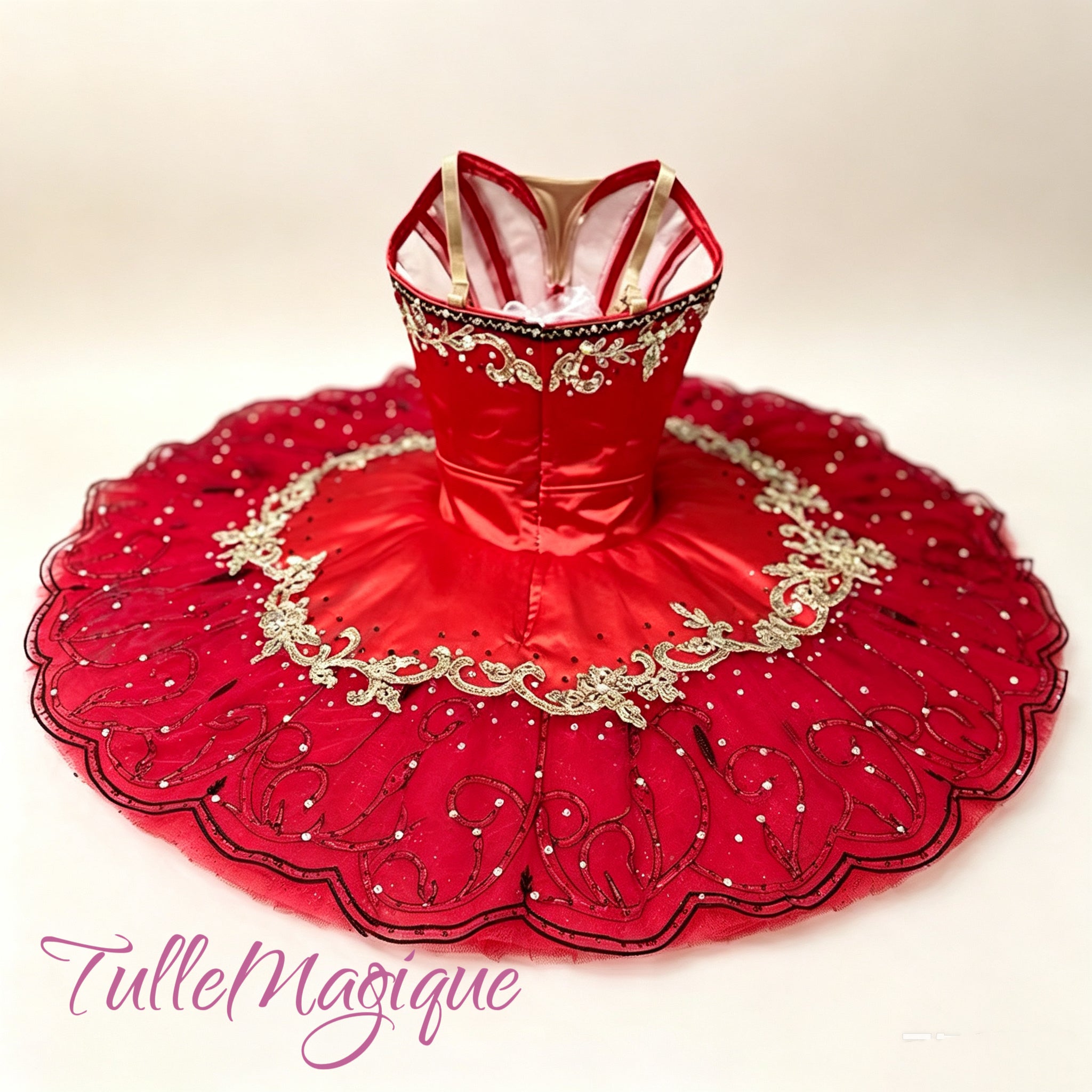 Back view of professional classical ballet tutu showing intricate gold embroidery for La Esmeralda and Paquita.