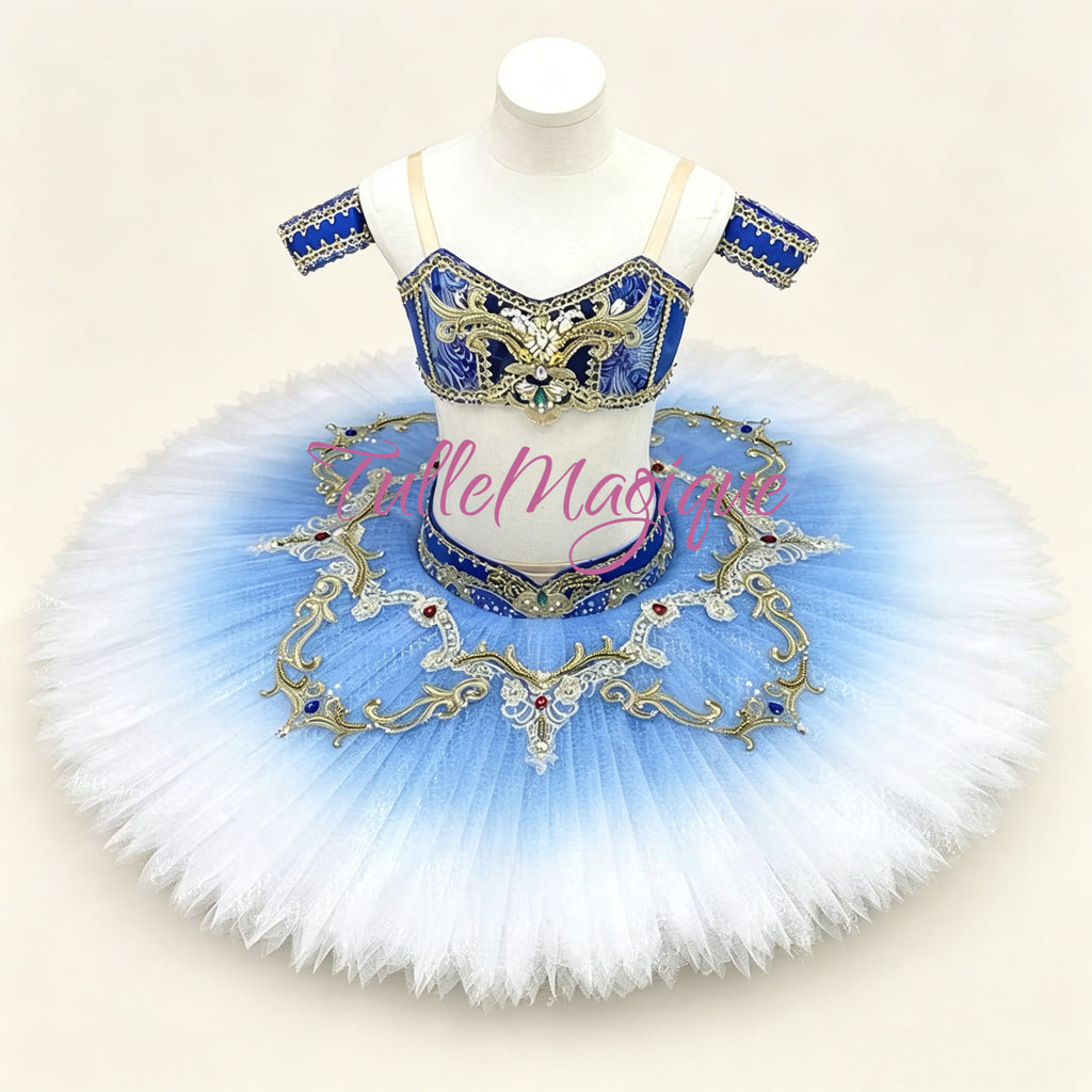 Professional two-piece ballet tutu with unique printed bodice and ombre skirt tutu for Odalisque or Gulnara in Le Corsaire or Gamzatti in La Bayadère.