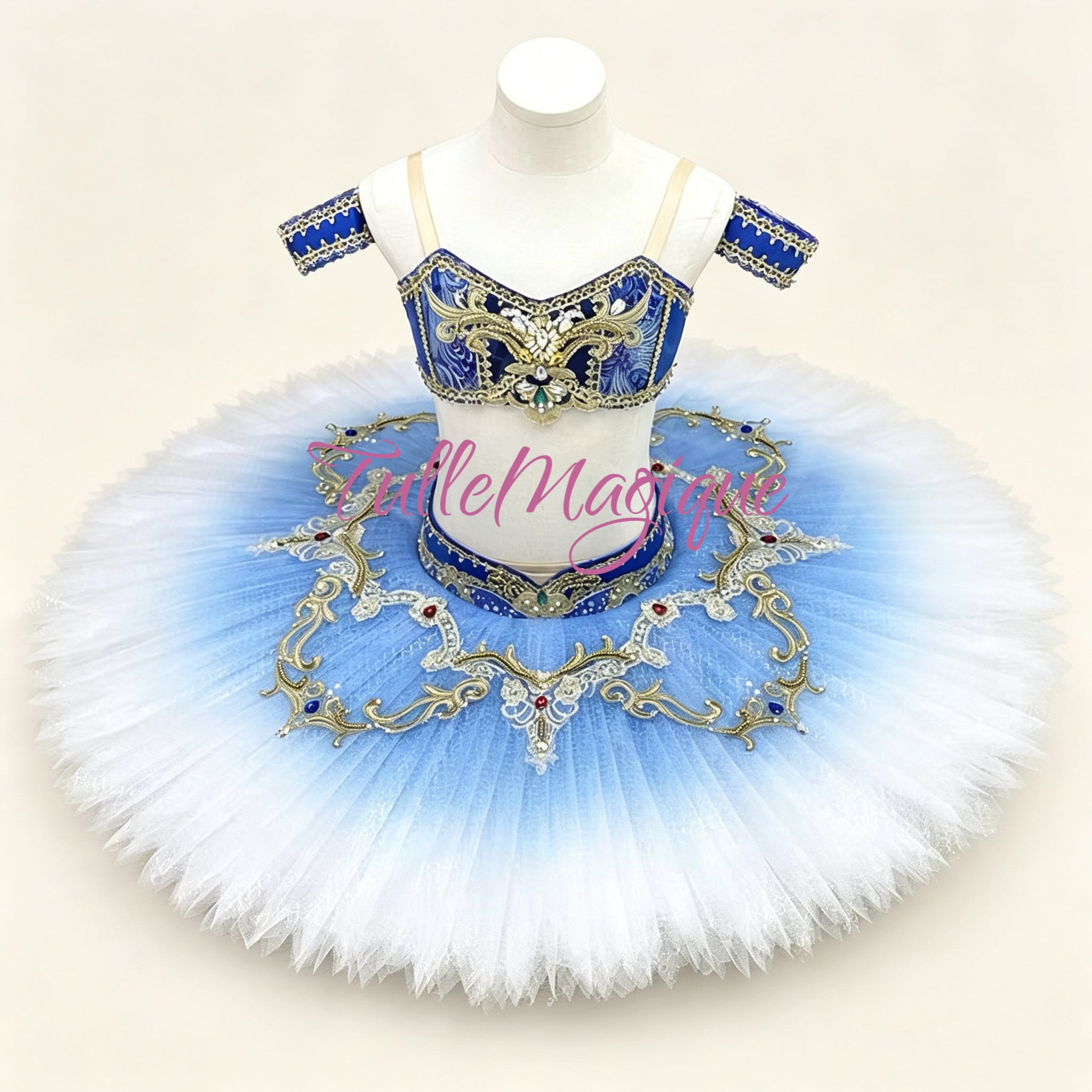 Professional two-piece ballet tutu with unique printed bodice and ombre skirt tutu for Odalisque or Gulnara in Le Corsaire or Gamzatti in La Bayadère.