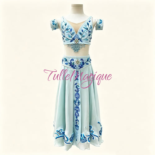 ⁠Professional La Bayadere Nikiya variation ballet costume, light blue two-piece dress with embroidered bodice and long chiffon skirt by TulleMagique⁠