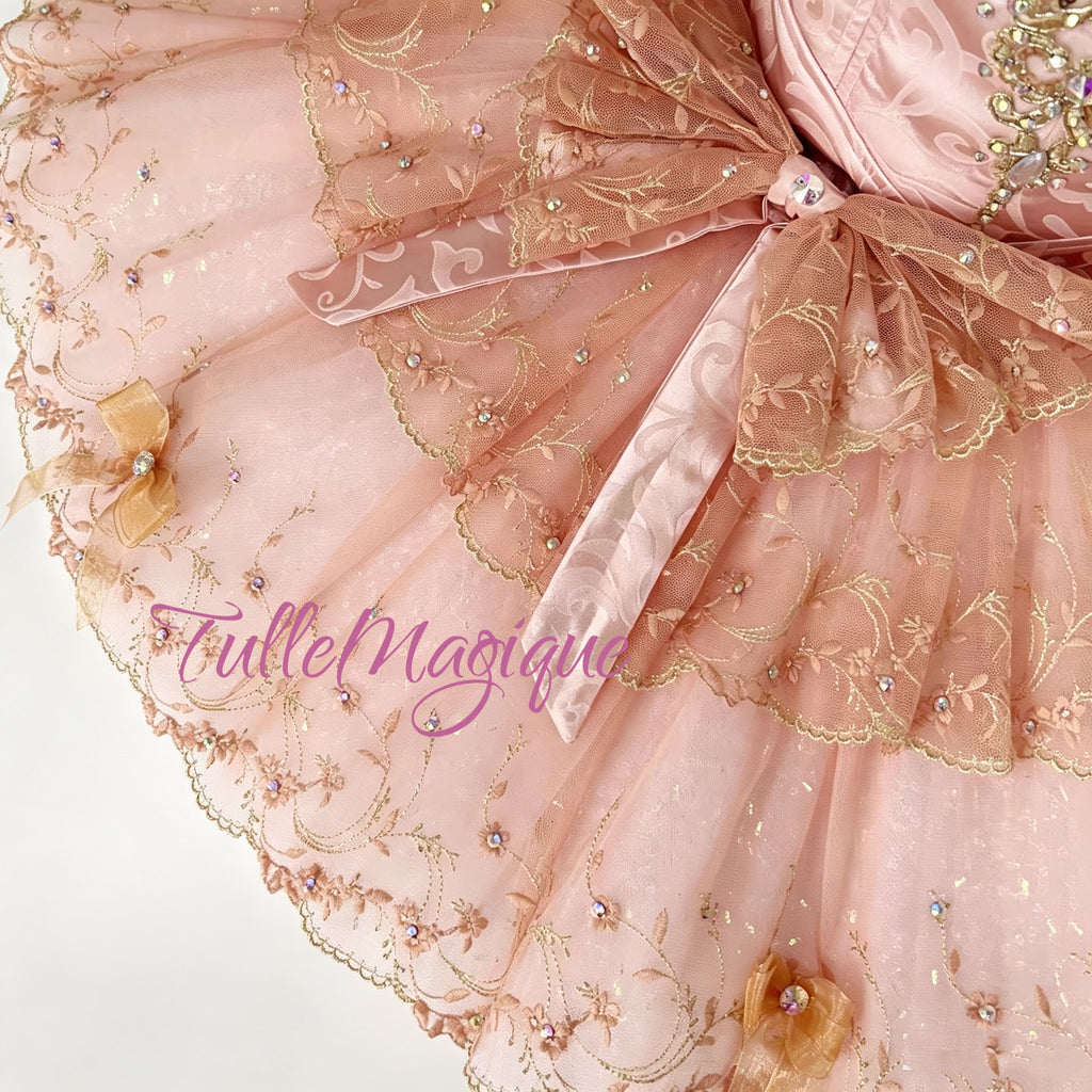 Detailed look at a luxury pale pink and gold professional pancake tutu by TulleMagique, showcasing a structured sweetheart bodice, sheer embroidered ruffles, and fine lace edge details.