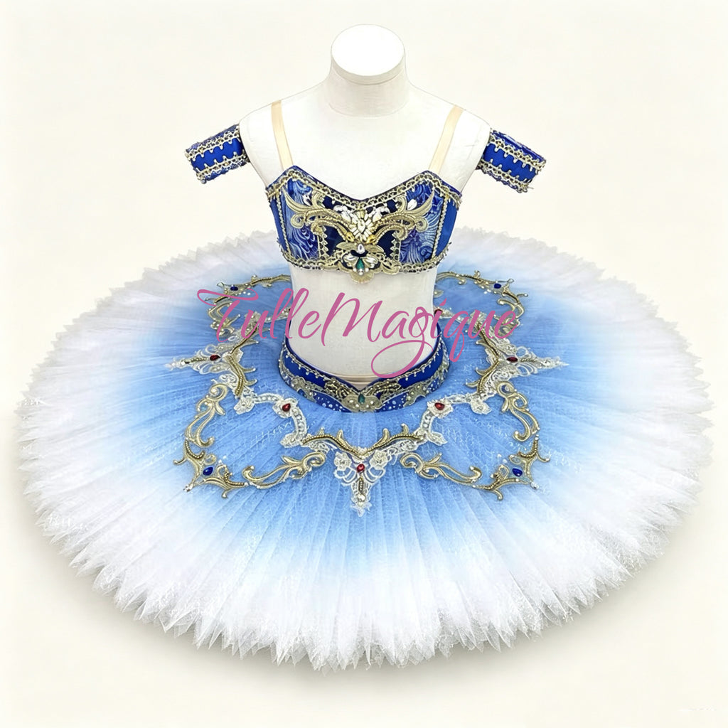 Close-up of exotic patterned fabric and gold embroidery on professional ballet tutu for Odalisque.